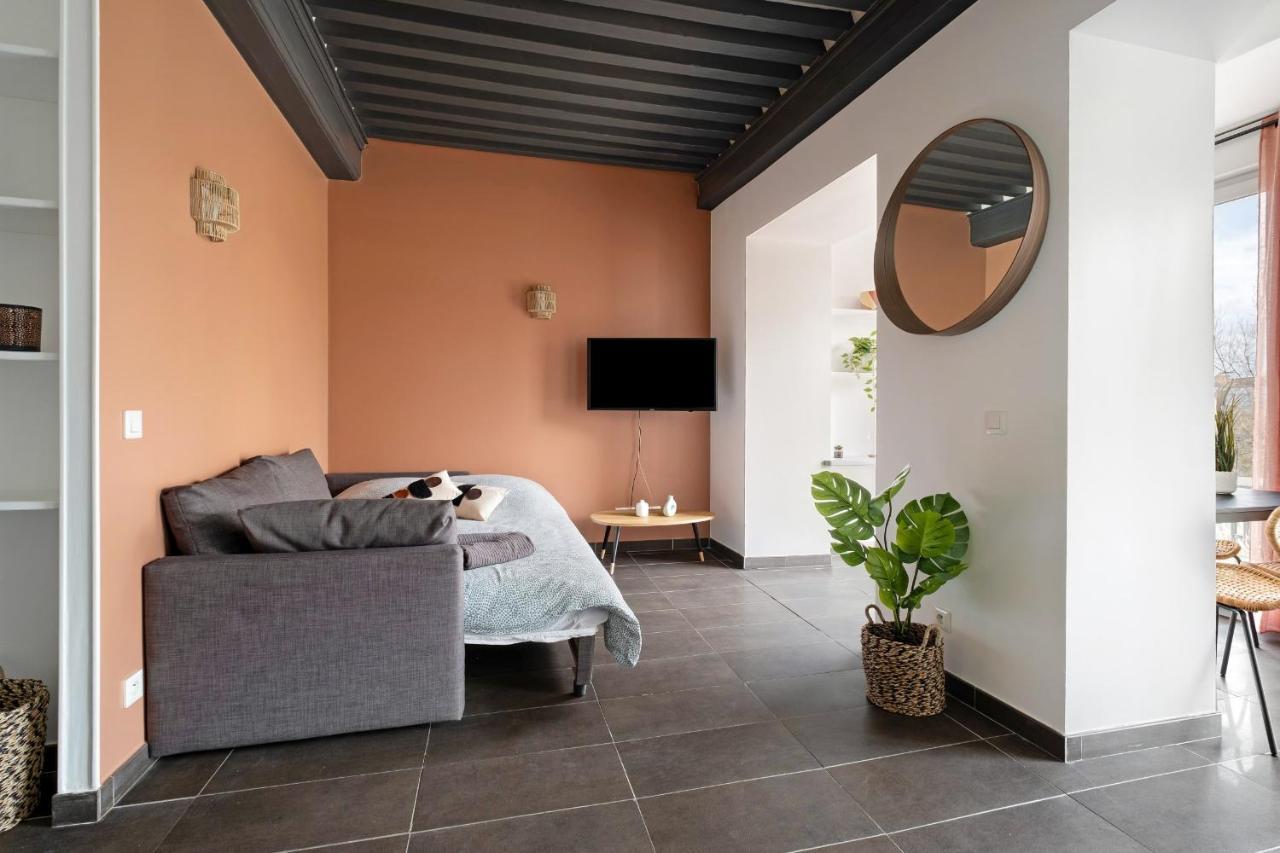 Lyon Cite- Appartement Vue Rhone Terrasse-Caluire מראה חיצוני תמונה